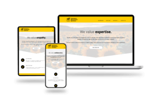 Visual mockup of the CEI website on a laptop, ipad, and mobile. cdt portfolio